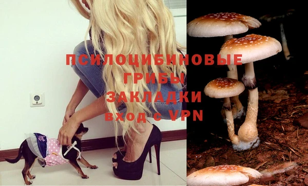 круглые Арсеньев