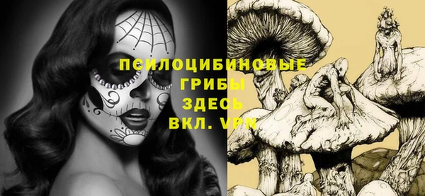 эйфоретик Валдай