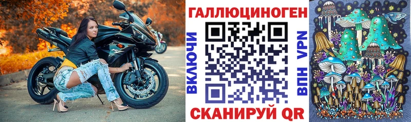 MEGA вход как найти закладки Лаишево Галлюциногенные грибы Psilocybe